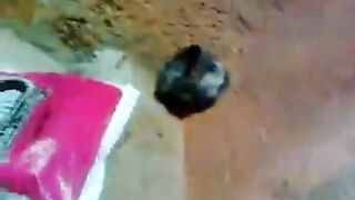 Pollachi village pen kuthi nakum sex video